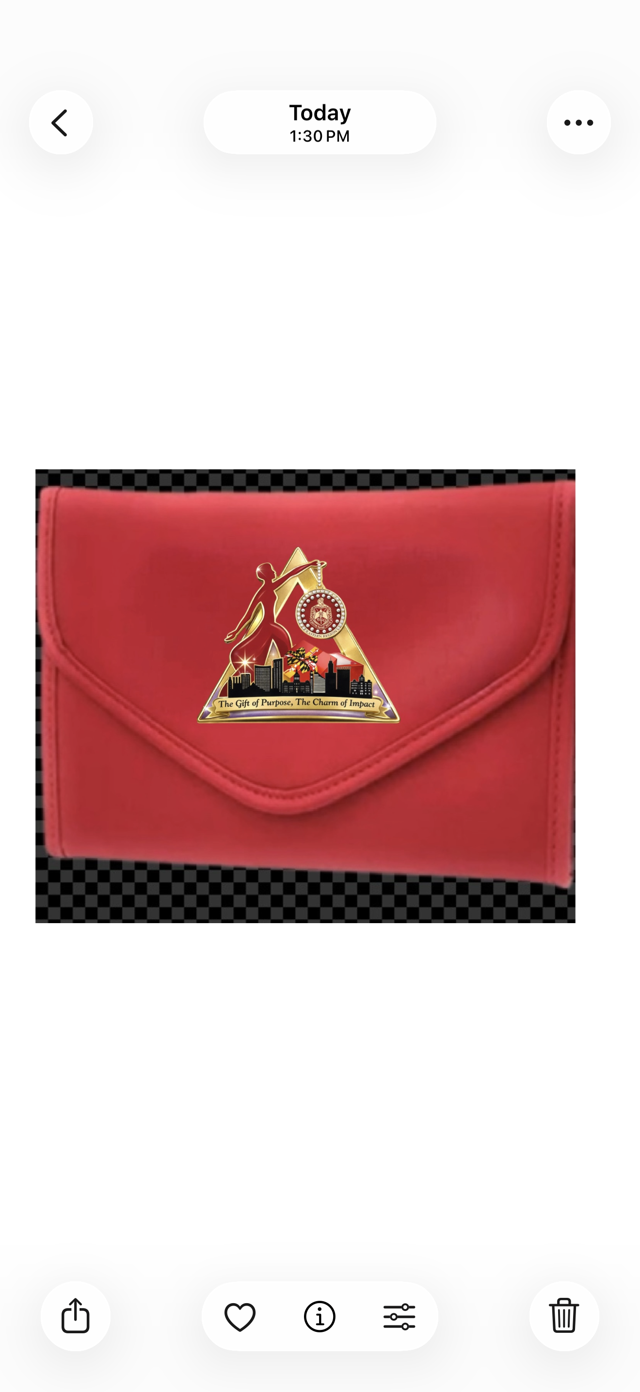 ΔΣΘTravel Jewelry Roll